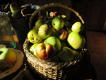 Gardening column fruit basket-398